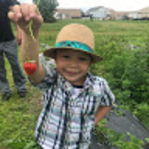 Meet your Posher, Logan paul tran